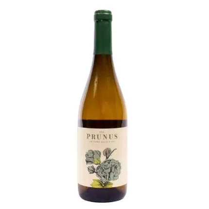 Prunus Branco