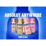 Absolut Vodka Raspberry Lemonade Ready To Drink Pre Mixed 250mL 3