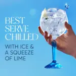 Bombay Sapphire Gin Tonic Ready To Drink 250ml 3