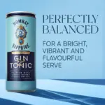 Bombay Sapphire Gin Tonic Ready To Drink 250ml 4