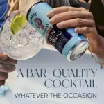Bombay Sapphire Gin Tonic Ready To Drink 250ml 5