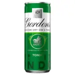 Gordons Gin And Tonic Water Premix 250ml