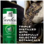 Gordons Tonic 6x250ml 3