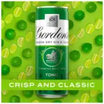 Gordons Tonic 6x250ml 4