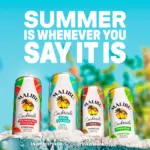 Malibu Cola Ready To Drink Premix 250ml 3