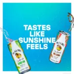 Malibu Cola Ready To Drink Premix 250ml 4