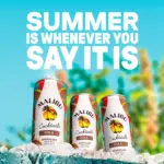 Malibu Cola Ready To Drink Premix 250ml 5
