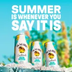 Malibu Pina Colada Still Pre Mixed Ready To Drink Cocktail 250mL 2