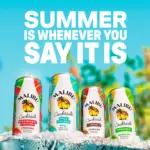 Malibu Pina Colada Still Pre Mixed Ready To Drink Cocktail 250mL 3