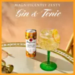 Tanqueray Flor De Sevilla Gin Tonic Ready To Drink Premix 250ml 2