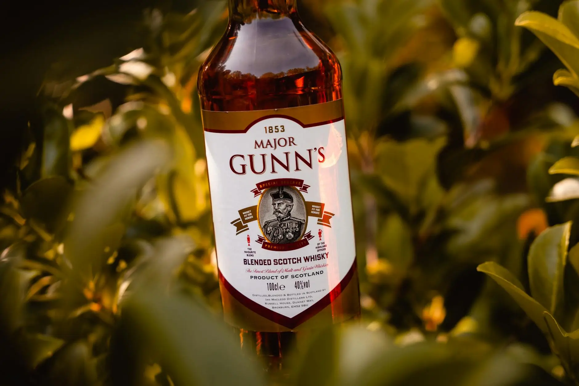A detailed shot of Major Gunn's Blended Scotch Whisky bottle amidst lush greenery, ideal for beverage advertising.