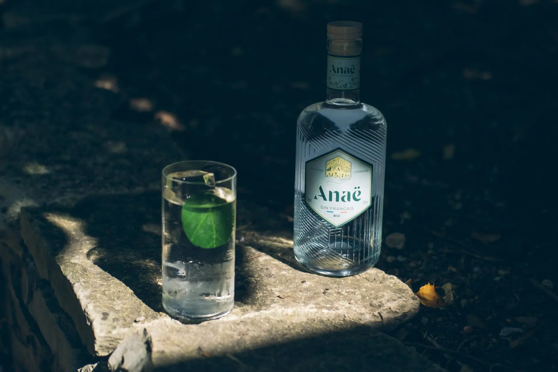 How Do You Make a Gin and Tonic?