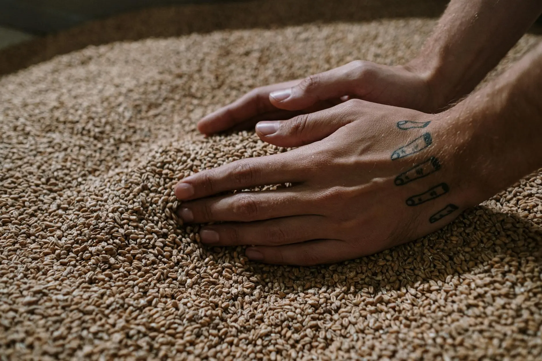 The Ingredients Behind Scotch Whisky