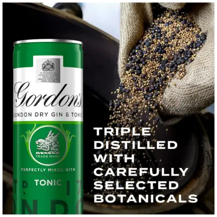 Gordons Gin Tonic Can 5 Vol 250ml 2