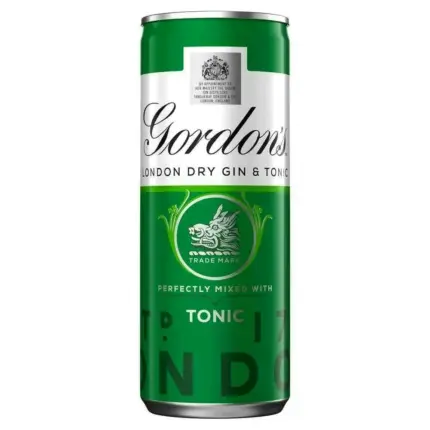 Gordons Gin And Tonic Water Premix 250ml