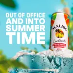 Malibu Sparkling Strawberry Daiquiri Pre Mixed Ready To Drink Cocktail 250mL 2