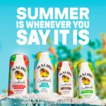 Malibu Sparkling Strawberry Daiquiri Pre Mixed Ready To Drink Cocktail 250mL 3