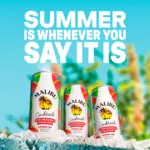 Malibu Sparkling Strawberry Daiquiri Pre Mixed Ready To Drink Cocktail 250mL 4