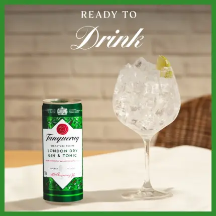Tanqueray London Dry Gin Tonic Ready To Drink Premix 250ml 2