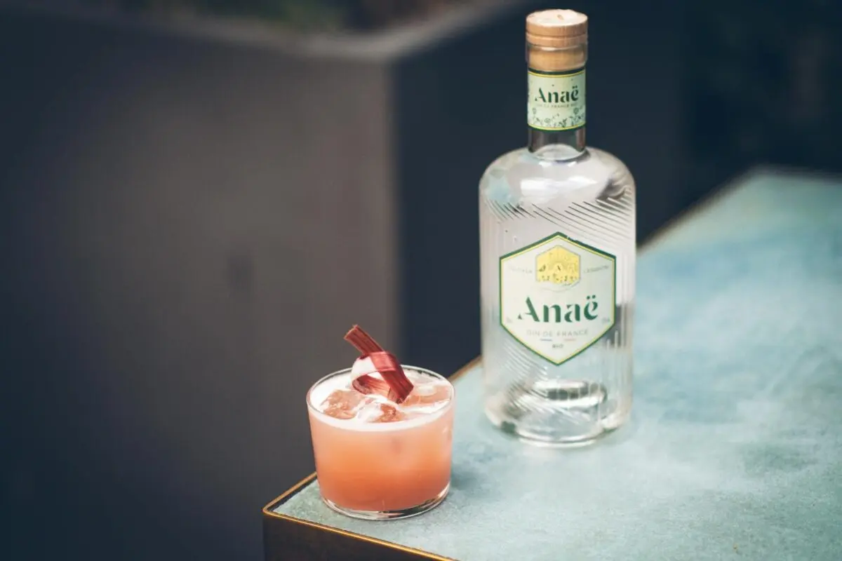 10 Delicious Ideas What To Mix Gin For Perfect Cocktails