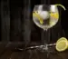 Discover The Gin Rickey Drink A Refreshing Classic Cocktail